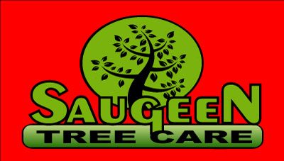 Saugeen Tree Care Logo