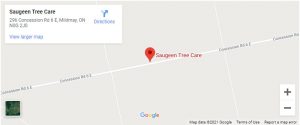 Saugeen Tree Care photo 7