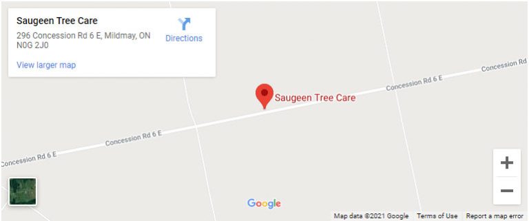 Saugeen Tree Care photo 8